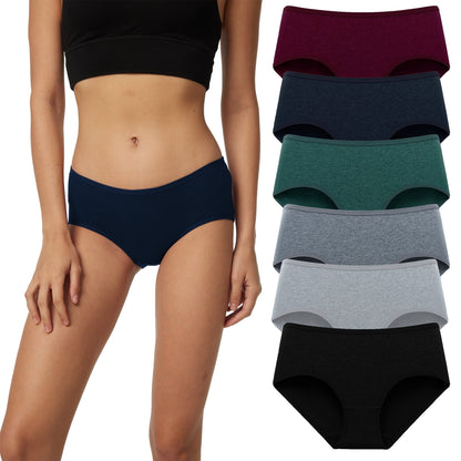 HUG YOURSELF Women's Cotton Underwear Soft Hipster Stretch Breathable Panties for Women,6 Pack(L,Vintage)
